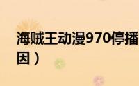 海贼王动漫970停播（海贼王1006停播的原因）