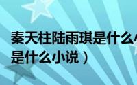 秦天柱陆雨琪是什么小说里的（秦天柱陆雨琪是什么小说）