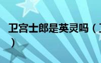 卫宫士郎是英灵吗（卫宫士郎是怎么英灵化的）