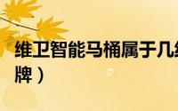 维卫智能马桶属于几线品牌（维卫马桶几线品牌）