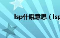 lsp什哦意思（lsp什么意思网络词）