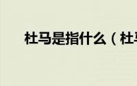 杜马是指什么（杜马成员是什么意思）