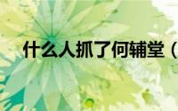 什么人抓了何辅堂（为什么扣押何辅堂）