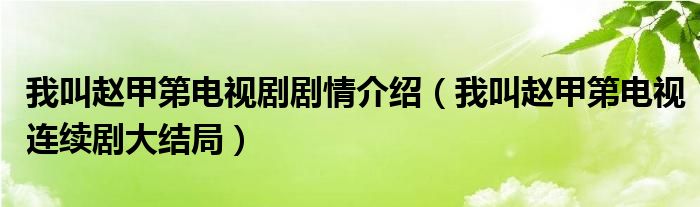 我叫赵甲第电视剧剧情介绍（我叫赵甲第电视连续剧大结局）