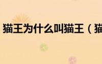猫王为什么叫猫王（猫王最有名的歌有哪些）