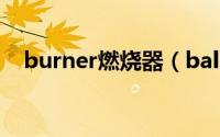 burner燃烧器（baltur燃烧器使用说明）