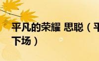 平凡的荣耀 思聪（平凡的荣耀陆思秋最后的下场）