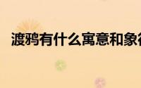 渡鸦有什么寓意和象征（渡鸦有什么寓意）