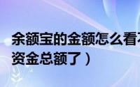 余额宝的金额怎么看不到（余额宝怎么看不到资金总额了）