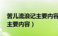 苦儿流浪记主要内容概括10字（苦儿流浪记主要内容）