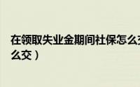 在领取失业金期间社保怎么交（领取失业保险金期间社保怎么交）