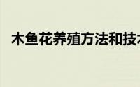 木鱼花养殖方法和技术（木鱼花养殖方法）
