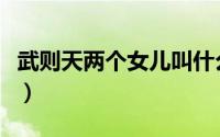 武则天两个女儿叫什么（武则天的双胞胎儿子）