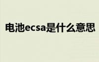 电池ecsa是什么意思（电池ecl是什么意思）