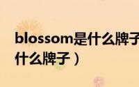blossom是什么牌子的葡萄酒（blossom是什么牌子）