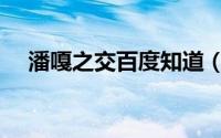 潘嘎之交百度知道（潘嘎之交原版原文）
