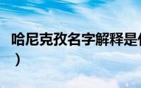 哈尼克孜名字解释是什么（哈尼克孜名字解释）