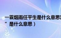 一蓑烟雨任平生是什么意思寓意指什么（“一蓑烟雨任平生”是什么意思）