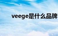 veege是什么品牌（vee是什么品牌）