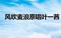 风吹麦浪原唱叶一茜（风吹麦浪原唱王菲）