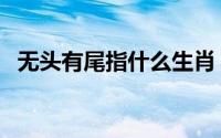 无头有尾指什么生肖（什么生肖无头无尾）