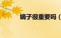 嫡子很重要吗（嫡子什么意思）