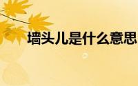墙头儿是什么意思（qte是什么意思）