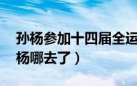 孙杨参加十四届全运会了吗（14届全运会孙杨哪去了）