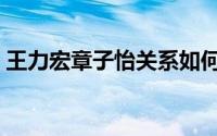 王力宏章子怡关系如何（王力宏章子怡关系）