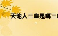天地人三皇是哪三皇（三皇是哪三皇）