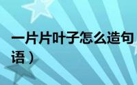 一片片叶子怎么造句（一片片叶子照样子写词语）