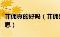 菲佣真的好吗（菲佣是什么意思菲佣是什么意思）