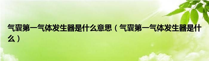 气囊第一气体发生器是什么意思（气囊第一气体发生器是什么）