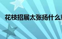 花枝招展太张扬什么意思（张扬什么意思）