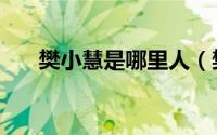 樊小慧是哪里人（樊小慧儿走红原因）