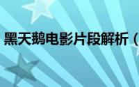黑天鹅电影片段解析（黑天鹅电影深度解析）