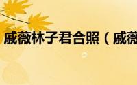 戚薇林子君合照（戚薇林子君上过什么节目）