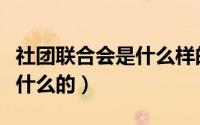 社团联合会是什么样的组织（社团联合会是干什么的）