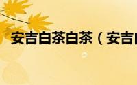 安吉白茶白茶（安吉白茶银霜是什么意思）