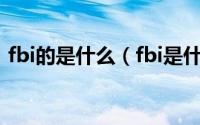 fbi的是什么（fbi是什么组织在监视我们吗）