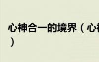 心神合一的境界（心神合一入静最简单的方法）