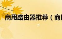 商用路由器推荐（商用路由器哪个牌子好）