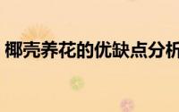 椰壳养花的优缺点分析（椰壳养花的优缺点）