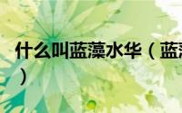 什么叫蓝藻水华（蓝藻水华和绿藻水华的区别）
