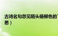 古诗名句忽见陌头杨柳色的下一句（忽见陌上杨柳色什么意思）