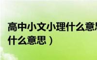高中小文小理什么意思（高中选科小文大文是什么意思）