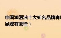 中国润滑油十大知名品牌有哪些名字（中国润滑油十大知名品牌有哪些）
