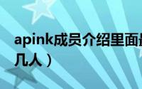 apink成员介绍里面最好看的（apink到底有几人）