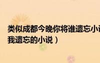 类似成都今晚你将谁遗忘小说（介绍几本类似成都今夜请将我遗忘的小说）