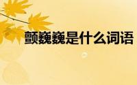 颤巍巍是什么词语（巍巍颤颤的意思）